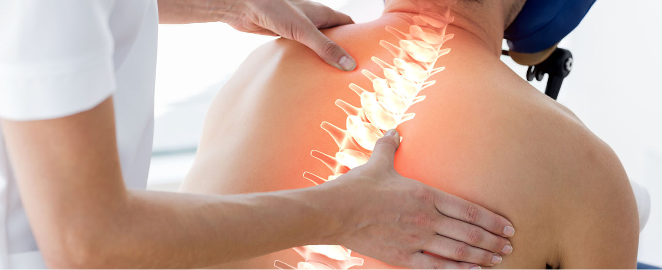Hands-on back assessment with an illustrated spine overlay